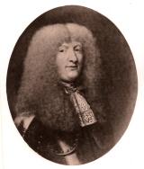 Hans Hansen Lindenov (rigsråd)