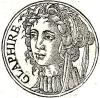 Glaphyra Glaphyra